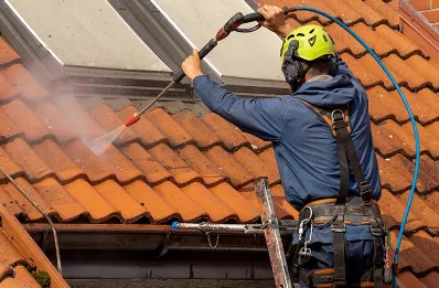 Démoussage et hydrofuge de toiture à Bosjean